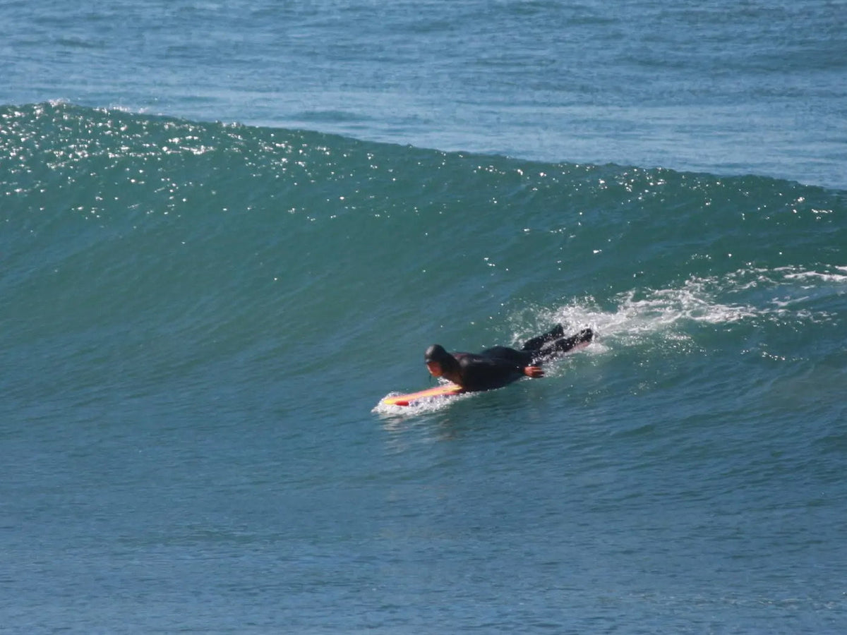 Surf / reef check