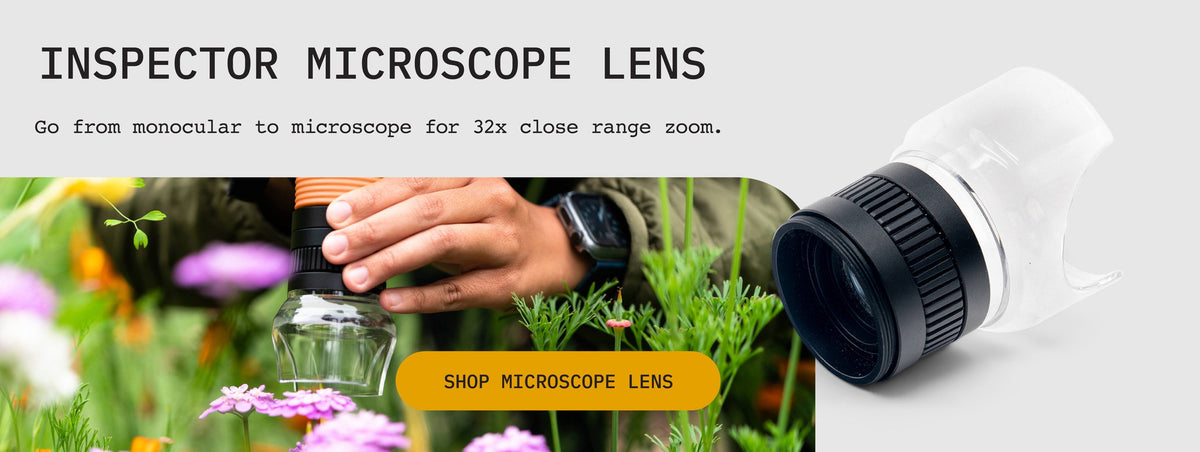 Inspector microscope lens