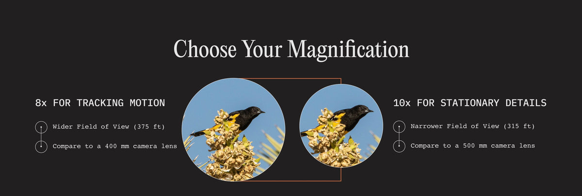 Choose your magnification: 8x for tracking motion, 10x for stationary details
